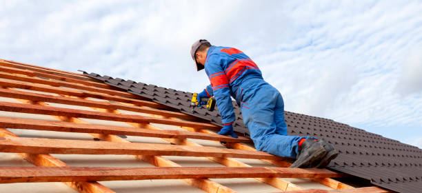 Best Roof Coating Services  in Level Green, PA